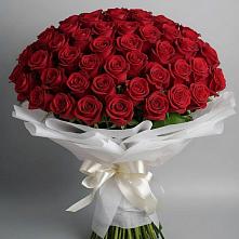 Букет 101 Красная роза Блэк Мэджик в Авангард