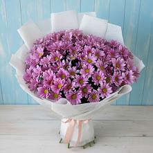 Букет цветов из:  Хризантемы в Авангард