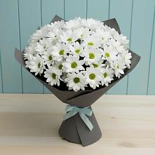Букет цветов из:  Хризантемы в Авангард