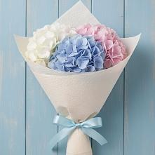 Букет цветов из:  Гортензия в Авангард