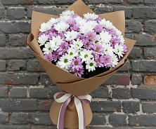 Букет цветов из:  Хризантемы #REPLACE_PRED# Авангард