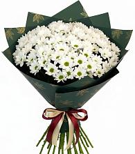 Букет цветов из:  Хризантемы в Авангард