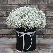 Цветочная композиция из Гипсофила в шляпной коробке #REPLACE_PRED# Авангард