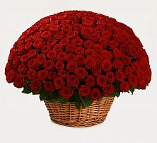 Премиум букет из: Розы в Авангард